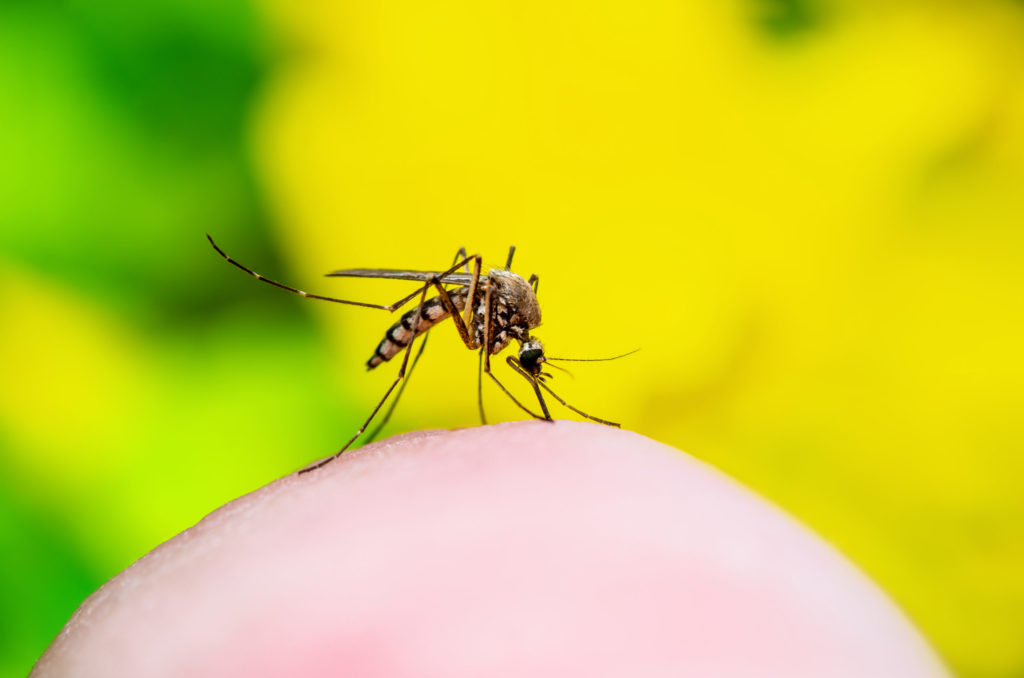 Yellow fever vaccine Glasgow